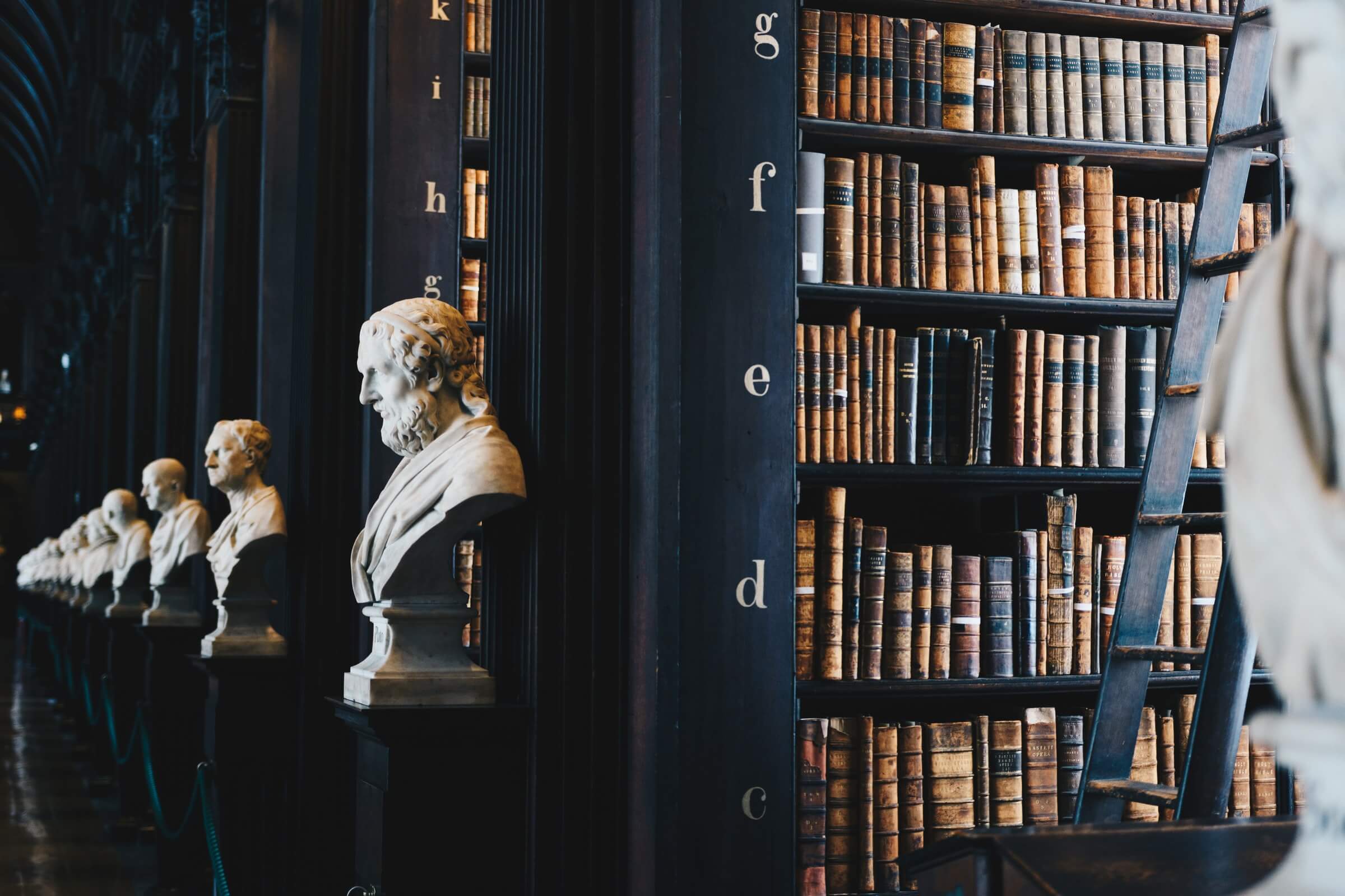 Rows of Roman busts in front of library bookshelves